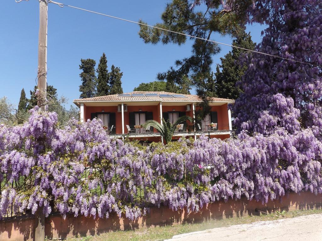 Dassia Beach Pension Dış mekan fotoğraf