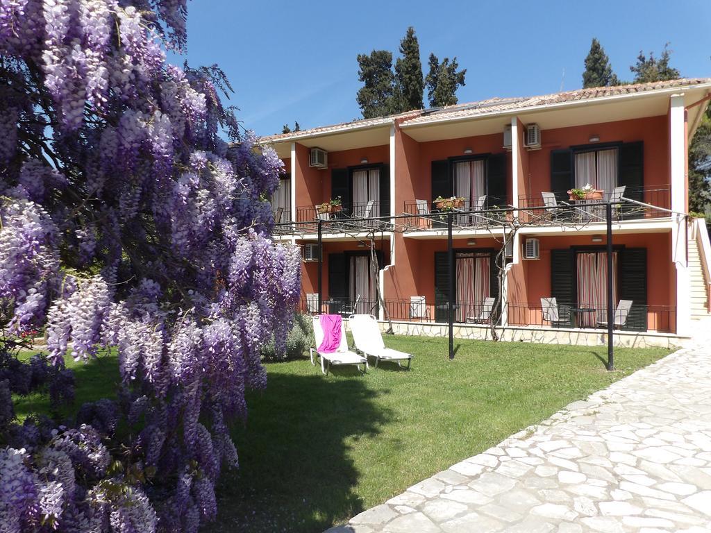 Dassia Beach Pension Dış mekan fotoğraf